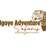 ngoye adventure logo